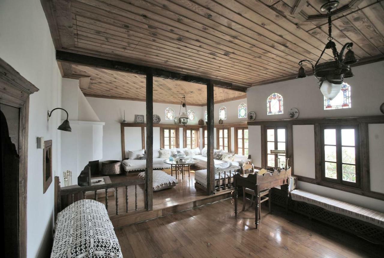 Pelion Belvedere - The Mansion Vizitsa Extérieur photo